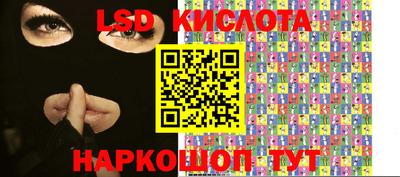 дмт Славгород