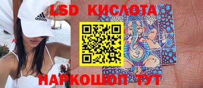 дмт Славгород