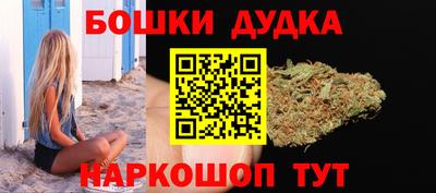 дмт Славгород