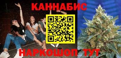 дмт Славгород