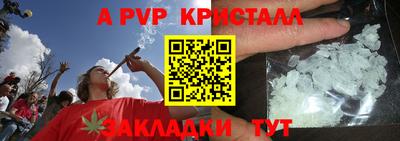 дмт Славгород