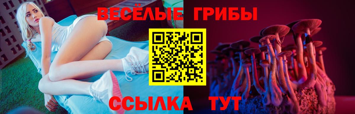 Псилоцибиновые грибы Cubensis  Вход с VPN  Сарапул  Галлюциногенные грибы мухоморы 